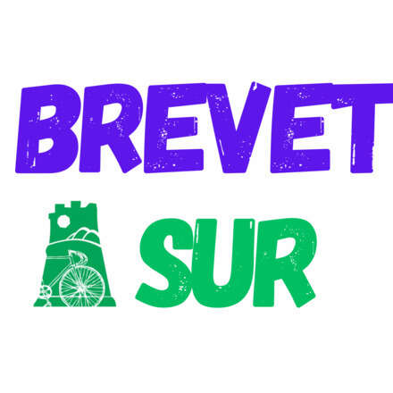 BREVET 200 Los Puentes de Valdivia