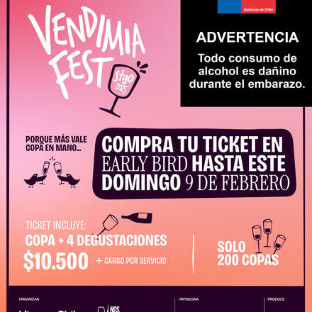 Vendimia Fest Santiago 2025