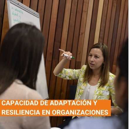 Capacidad de adaptación y resiliencia en organizaciones