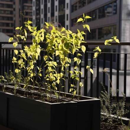 Taller de Jardinería 2