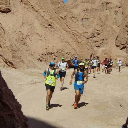  Catarpe Atacama Trail 2018