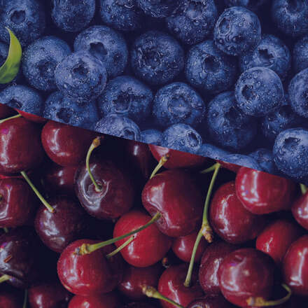 Socios Fedefruta y Agrotech Venta de Entradas 1° Curso Internacional de Especialización en producción de arándanos + 2° Congreso Especial Cerezos Chile 2026