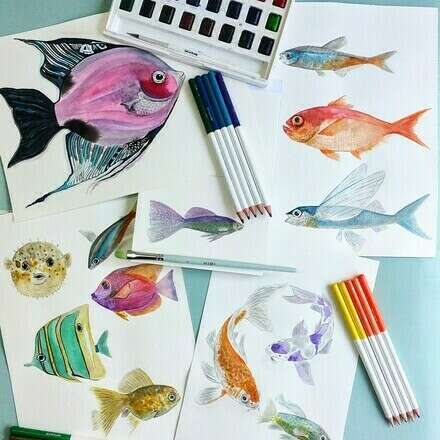 "Peces en acuarela" junto a Javiera Gutierrez y The Color Shop 