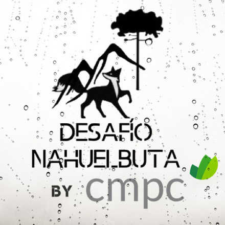 DESAFIO NAHUELBUTA ACEQUIAS 2021