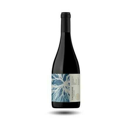 Cata de vinos junto a Les Dix Vins 
