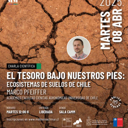 EL TESORO BAJO NUESTROS PIES_Marco Pfeiffer