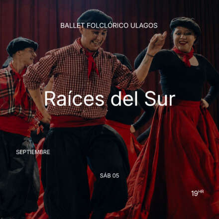 RAÍCES DEL SUR