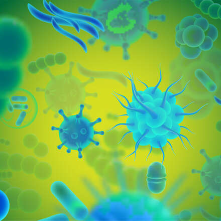 Curso Internacional de Microbioma y Microorganismos Aplicados en la Agricultura