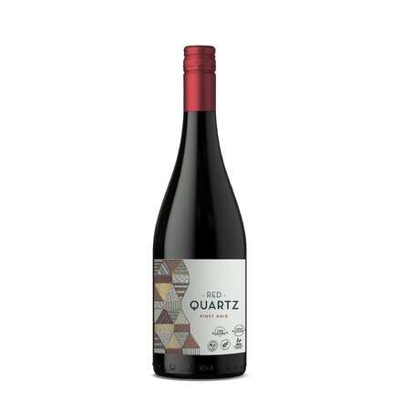 Cata de vinos Trasiego Wines junto a Vique Club 