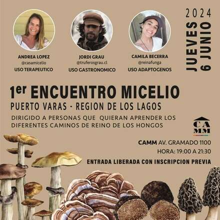 1ER ENCUENTRO MICELIO