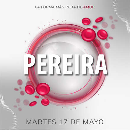 Abraza la vida, Pereira 