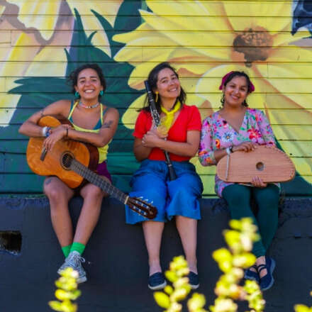 EL TIEMPO DE LA SEMILLA_Banda Golondrina