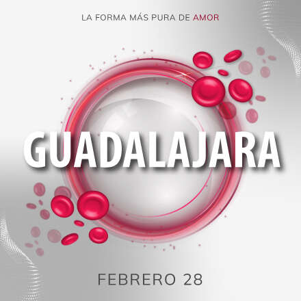 Lanzamiento Jemogest Guadalajara