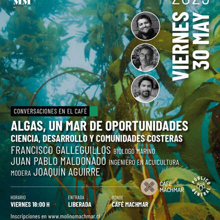 ALGAS, UN MAR DE OPORTUNIDADES