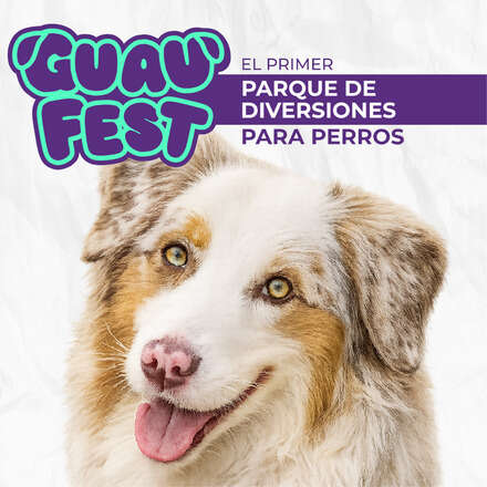 GuauFest Santiago - Edición 2