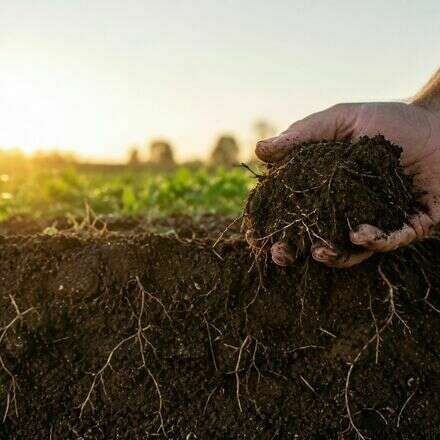 Desayuno Agrosimbiosis: innovación para una agricultura más productiva