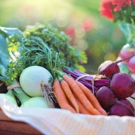 Emprendedores Interesados en Feria de Alimentos Saludables