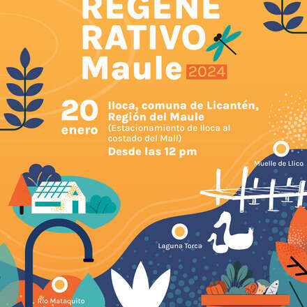 FESTIVAL REGENERATIVO