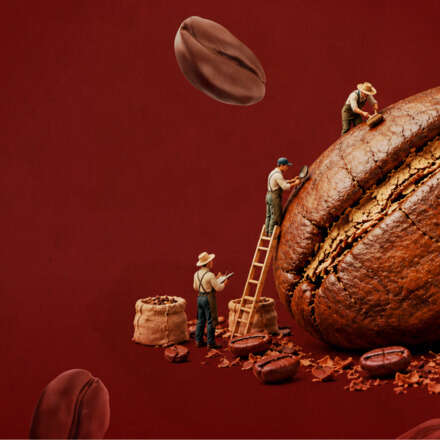 World of Coffee: de la finca al consumidor