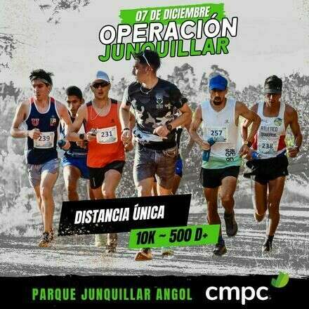Operación Junquillar CMPC 2024 