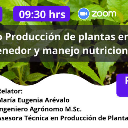Producción de Plantas en Contenedor y Manejo Nutricional