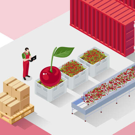 Curso de  Fisiología y Tecnologías de Poscosecha de Cerezas