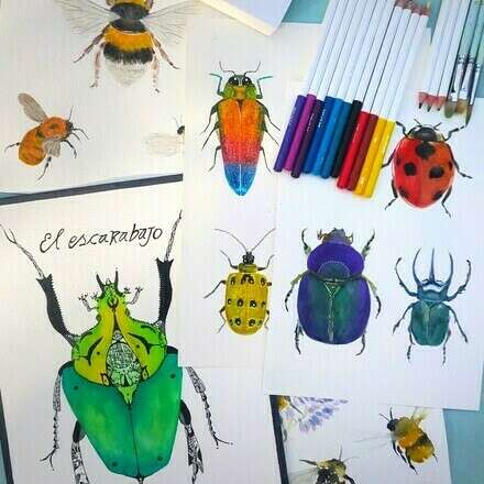 Aprende a pintar insectos junto a Javiera Gutierrez y The Color Shop 