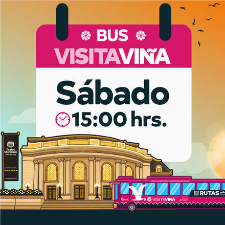 Bus Visita Viña Sábado 28/08 15:00pm