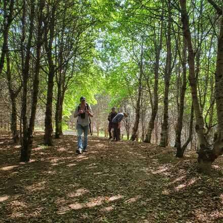 Excursión Botánica Guiada 21/9