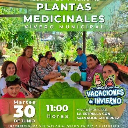 TALLER FITOTERAPIA ECOREMEDIOS “Conectar con la naturaleza  a través de un recorrido vivencial por vivero Municipal y aprender del autocuidado a través de las plantas medicinales”