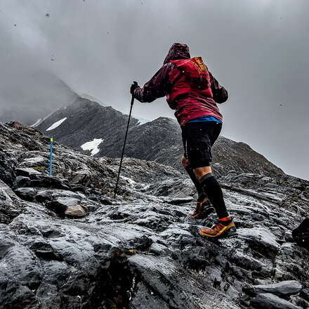 Ultra Fiord 2024 (USD)