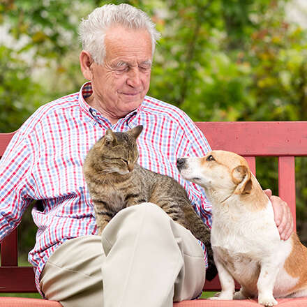 1er Congreso Gerontología Veterinaria.  