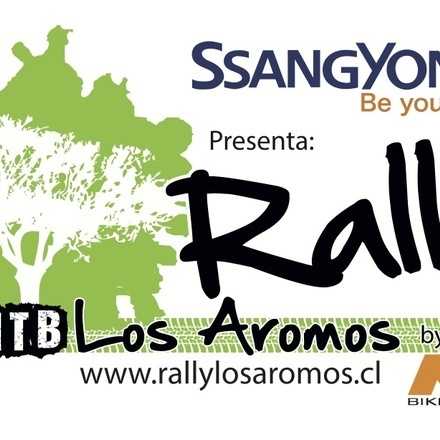 Rally Los Aromos VII Versión