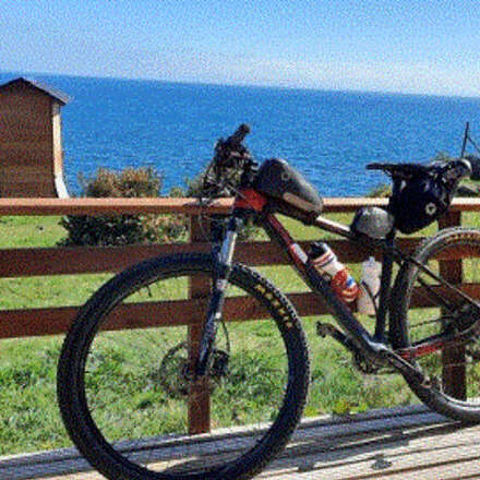  Brevet Valdivia 2022