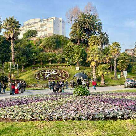 TOUR CERRO CASTILLO 08/08 11:30 AM