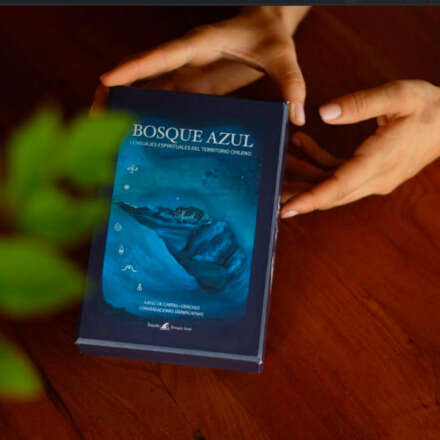 Lanzamiento Bosque Azul