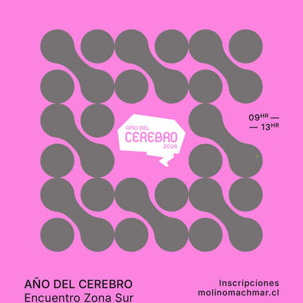 1er Encuentro por el Año del Cerebro Zona Sur 