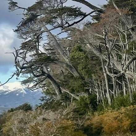 FAVsur2024_PARQUES NACIONALES Y BIENESTAR: DESAFIOS PARA LA GESTIÓN SUSTENTABLE DEL HÁBITAT NATURAL 
