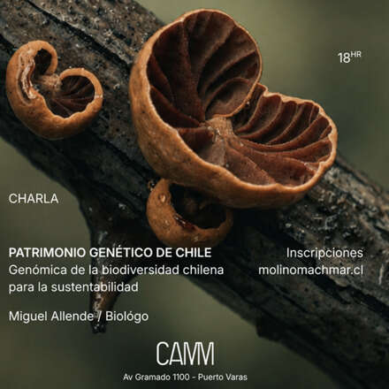 Patrimonio Genético de Chile