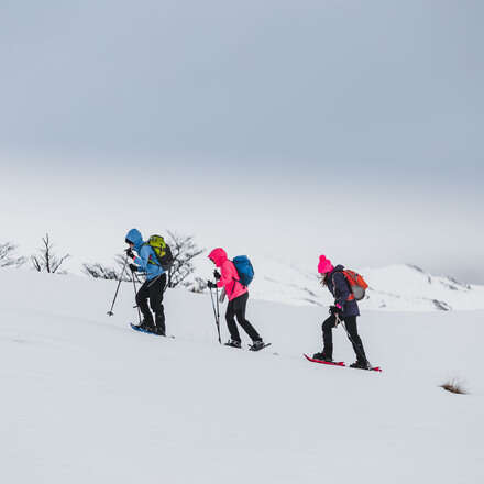 RUTA DEL HUEMUL INVERNAL 2021