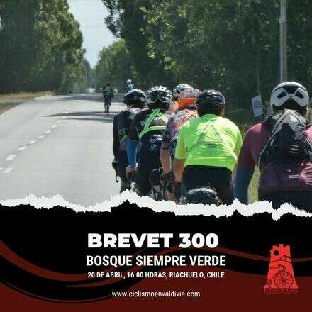 BREVET 300    Y                          PRE BREVET 73 & 40