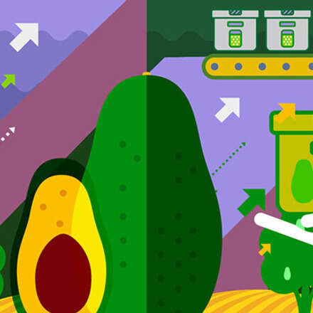 2do Curso Aguacate Hass Colombia: Manejo del cultivo para fruta de exportación