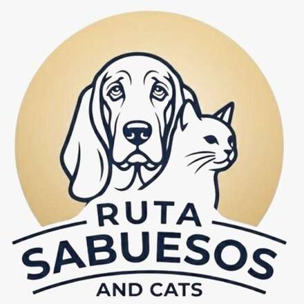 Ruta Sabuesos And Cats