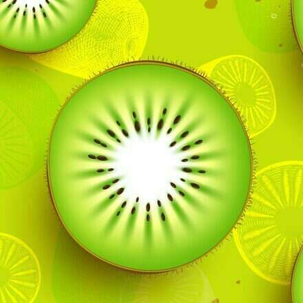 Curso de Actualización de Manejo Productivo en Huertos de Kiwi + Día de Campo - 2027