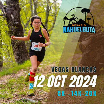 DESAFIO NAHUELBUTA VEGAS BLANCAS CMPC 2024