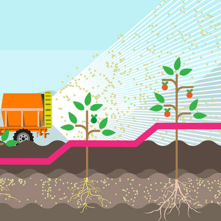 Curso Internacional de Hormonas Vegetales y Reguladores de Crecimiento: Eficiencia en el uso para una mayor producción agrícola. 