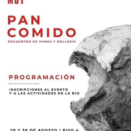 Programación Pan Comido