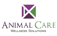 Copia de Charla Cuidado & Salud Dental para perros